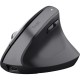 Мышка Trust Bayo + Ergonomic Wireless/Bluetooth Black (25146) Мышка Trust Bayo + Ergonomic Wireless/Bluetooth Black (25146)