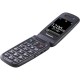 Мобильный телефон Panasonic KX-TU446 Black (KX-TU446EXB)