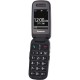 Мобильный телефон Panasonic KX-TU446 Red (KX-TU446EXR)