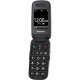 Мобильный телефон Panasonic KX-TU446 Grey (KX-TU446EXG)