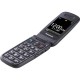 Мобильный телефон Panasonic KX-TU446 Grey (KX-TU446EXG)