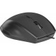 Мышка Defender MM-362 Black (52362) Мышка Defender MM-362 Black (52362)