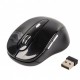 Мышка GEMBIRD MUSW-6B-01-B Black (MUSW-6B-01)