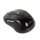 Мышка GEMBIRD MUSW-6B-01-B Black (MUSW-6B-01)