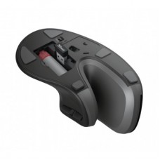 Мышка Trust Verro Ergonomic Wireless Black (23507) - Фото