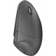 Мышка Trust Verto Wireless Ergonomic Black (22879) Мышка Trust Verto Wireless Ergonomic Black (22879)