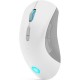 Мышка Lenovo Legion M600 RGB Wireless Stingrey White (GY51C96033) Мышка Lenovo Legion M600 RGB Wireless Stingrey White (GY51C96033)