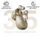 Наушники HiFuture SonicAir Champagne (sonicair.champagne) Наушники HiFuture SonicAir Champagne (sonicair.champagne)