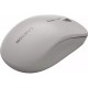 Мышка Canyon MW-12 Wireless/Bluetooth Beige (CNS-CMSW12BG)