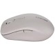 Мышка Canyon MW-12 Wireless/Bluetooth Beige (CNS-CMSW12BG)