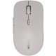 Мышка Canyon MW-12 Wireless/Bluetooth Grey (CNS-CMSW12DG)