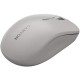 Мышка Canyon MW-12 Wireless/Bluetooth Grey (CNS-CMSW12DG)