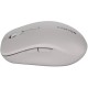 Мышка Canyon MW-12 Wireless/Bluetooth Grey (CNS-CMSW12DG)