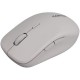 Мышка Canyon MW-12 Wireless/Bluetooth Grey (CNS-CMSW12DG)