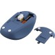 Мышка Trust Yvi+ Multi-Device Wireless/Bluetooth Blue (25455) Мышка Trust Yvi+ Multi-Device Wireless/Bluetooth Blue (25455)