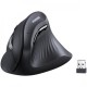 Мышка Ugreen MU008 Vertical Wireless Black (25444)