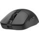 Мышка A4Tech Bloody R72 Pro Duo Wireless/USB Black (4711421000840)