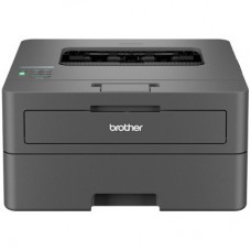 Лазерный принтер Brother HLL2442DWYJ1