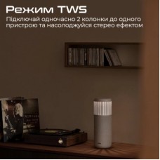 Акустическая система HiFuture Wedge Silver (wedge.silverwhite) - Фото