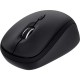 Мышка Trust Yvi+ Multi-Device Wireless/Bluetooth Black (25440) Мышка Trust Yvi+ Multi-Device Wireless/Bluetooth Black (25440)