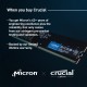 Модуль пам'яті для комп'ютера DDR5 8GB 4800 MHz Micron (CT8G48C40U5T) Модуль пам'яті для комп'ютера DDR5 8GB 4800 MHz Micron (CT8G48C40U5T)