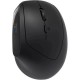 Мышка Canyon MW-25 LED Silent Wireless/Bluetooth Black (CNS-CMSW25)