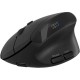 Мышка Canyon MW-25 LED Silent Wireless/Bluetooth Black (CNS-CMSW25)