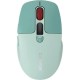 Мышка Canyon MW-26 LCD Silent Wireless/Bluetooth Green (CNS-CMSW26GR)