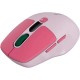 Мышка Canyon MW-26 LCD Silent Wireless/Bluetooth Pink (CNS-CMSW26P)