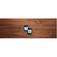 Картка пам'яті Kingston 256 GB SDXC сlass 10 UHS-I U3 V30 Canvas Go Plus G4 (SDG4/256GB) - Фото