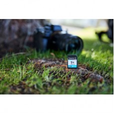 Картка пам'яті Kingston 256 GB SDXC сlass 10 UHS-I U3 V30 Canvas Go Plus G4 (SDG4/256GB) - Фото