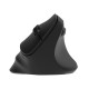 Мышка 2E MF325 Silent Wireless/Bluetooth Black (2E-MF325WBK) Мышка 2E MF325 Silent Wireless/Bluetooth Black (2E-MF325WBK)