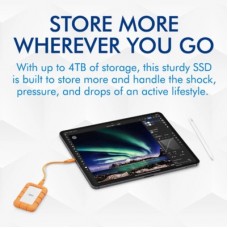 Накопитель SSD USB Type-C 500GB Rugged Mini LaCie (STMF500400) - Фото