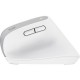 Мышка Trust Bayo+ Ergonomic Wireless/Bluetooth White (25399) Мышка Trust Bayo+ Ergonomic Wireless/Bluetooth White (25399)
