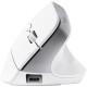 Мышка Trust Bayo+ Ergonomic Wireless/Bluetooth White (25399) Мышка Trust Bayo+ Ergonomic Wireless/Bluetooth White (25399)