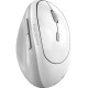 Мышка Genius Ergo 8350S AI Silent Wireless White/Grey (31030041401) Мышка Genius Ergo 8350S AI Silent Wireless White/Grey (31030041401)