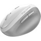 Мышка Genius Ergo 8350S AI Silent Wireless White/Grey (31030041401) Мышка Genius Ergo 8350S AI Silent Wireless White/Grey (31030041401)