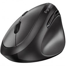 Мышка Genius Ergo 8350S AI Silent Wireless Black (31030041400) - Фото