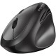 Мышка Genius Ergo 8350S AI Silent Wireless Black (31030041400) Мышка Genius Ergo 8350S AI Silent Wireless Black (31030041400)