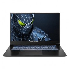 Ноутбук Dream Machines RG5050-17 (RG5050-17UA23) Ноутбук Dream Machines RG5050-17 (RG5050-17UA23)