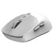 Мышка Genius NX-8080S Wireless/Bluetooth White/Grey (31030042401) Мышка Genius NX-8080S Wireless/Bluetooth White/Grey (31030042401)