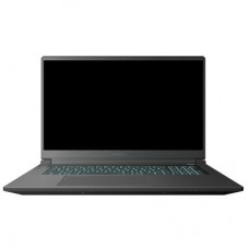 Ноутбук Thunderobot 911 X17 (911X17-i7136H56C1Q165MBD)