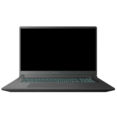 Ноутбук Thunderobot 911 X17 (911X17-i7136H56C1Q165MBD)