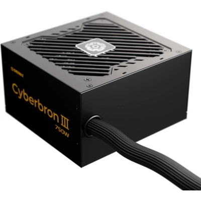 Блок питания Enermax 750W Cyberbron III (EMB750EWT-NAC)