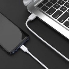 Дата кабель USB 2.0 AM to USB-C 2.0m 2.4 A white BOROFONE (6957531090021) - Фото