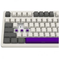 Клавиатура Lorgar KBP70TKLW Wireless TKL Mechanical Pro UA Beige (LRG-KBP70TKLW-RT-US) - Фото