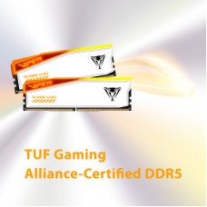 Модуль пам'яті для комп'ютера DDR5 32 GB (2x16GB) 6600 MHz Viper Elite 5 RGB Patriot (PVER532G66C34KT) - Фото