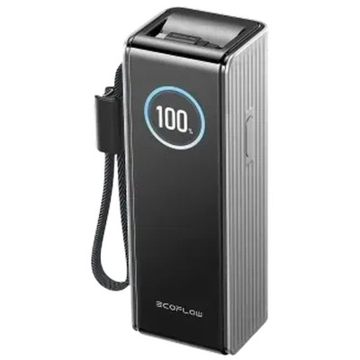 Батарея универсальная EcoFlow RAPID Power Bank 25000mAh with cables silver (EF-RAPID25K100W-S-EU)