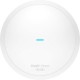 Точка доступа Wi-Fi Ruijie Networks RG-RAP62