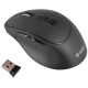 Мышка YENKEE YMS 2080GY Slider Wireless Black (45019322) Мышка YENKEE YMS 2080GY Slider Wireless Black (45019322)